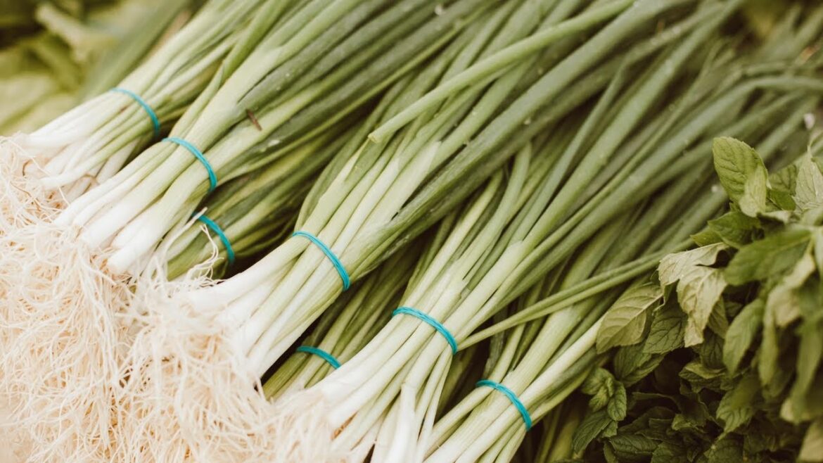 How To Grow Scallions At Home : Easy Beginners Guide