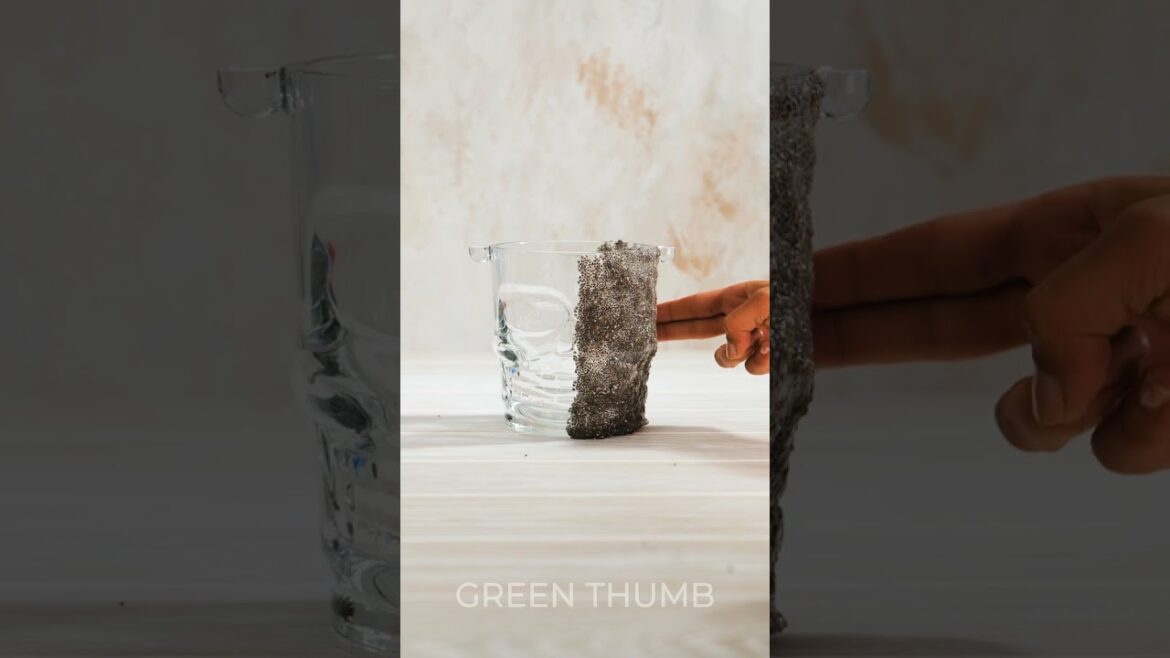 Easily Grow ANY Plant You Want with These Amazing Secrets!