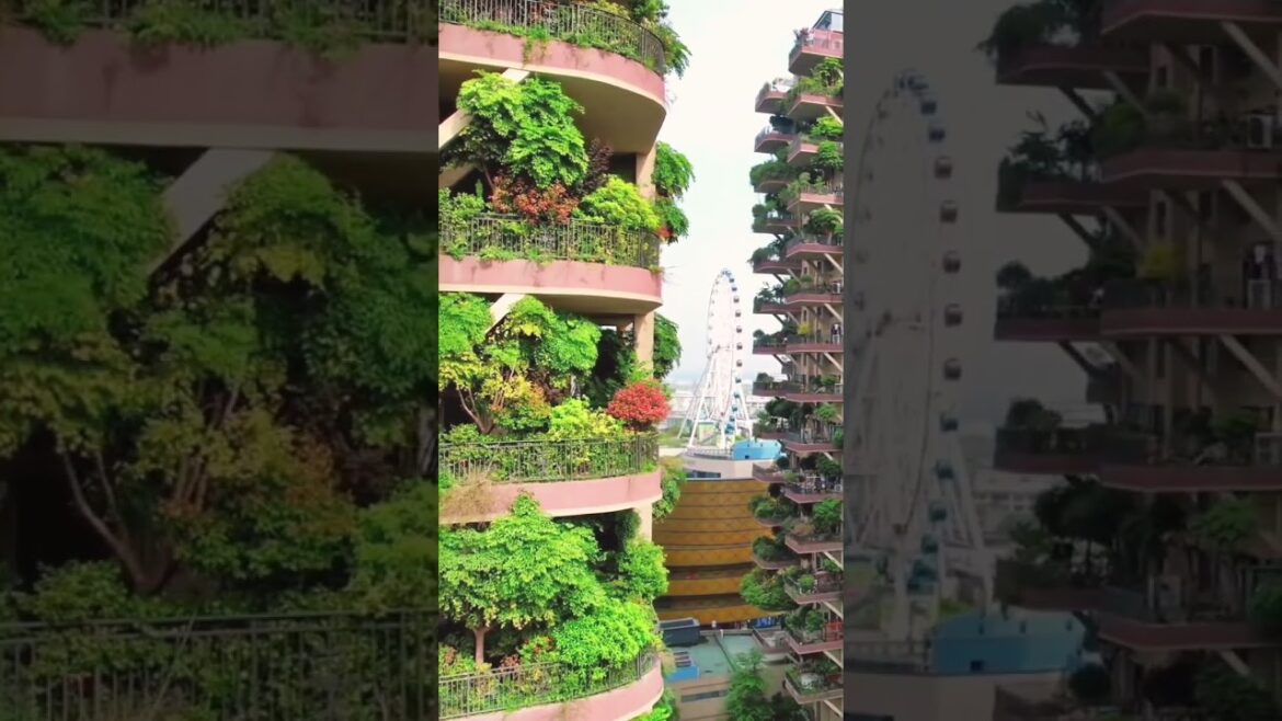 The Future of Homes: Biophilic Design & Natural Living
