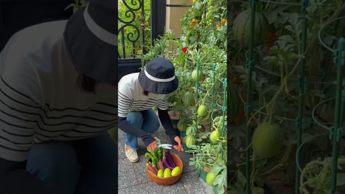 Growing Organic Veggies at Home While Others Rely on Chemicals 🌱🥬