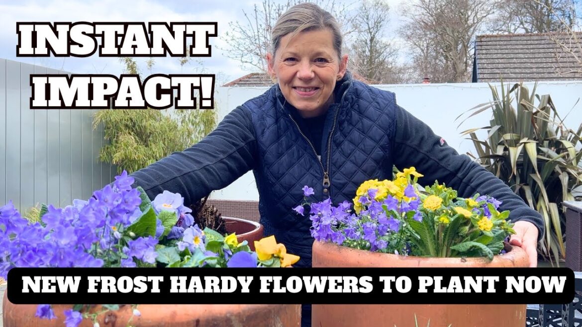 GARDEN GLOW UP: Spring Clean Up & Container Planting Ideas at Dobbies!