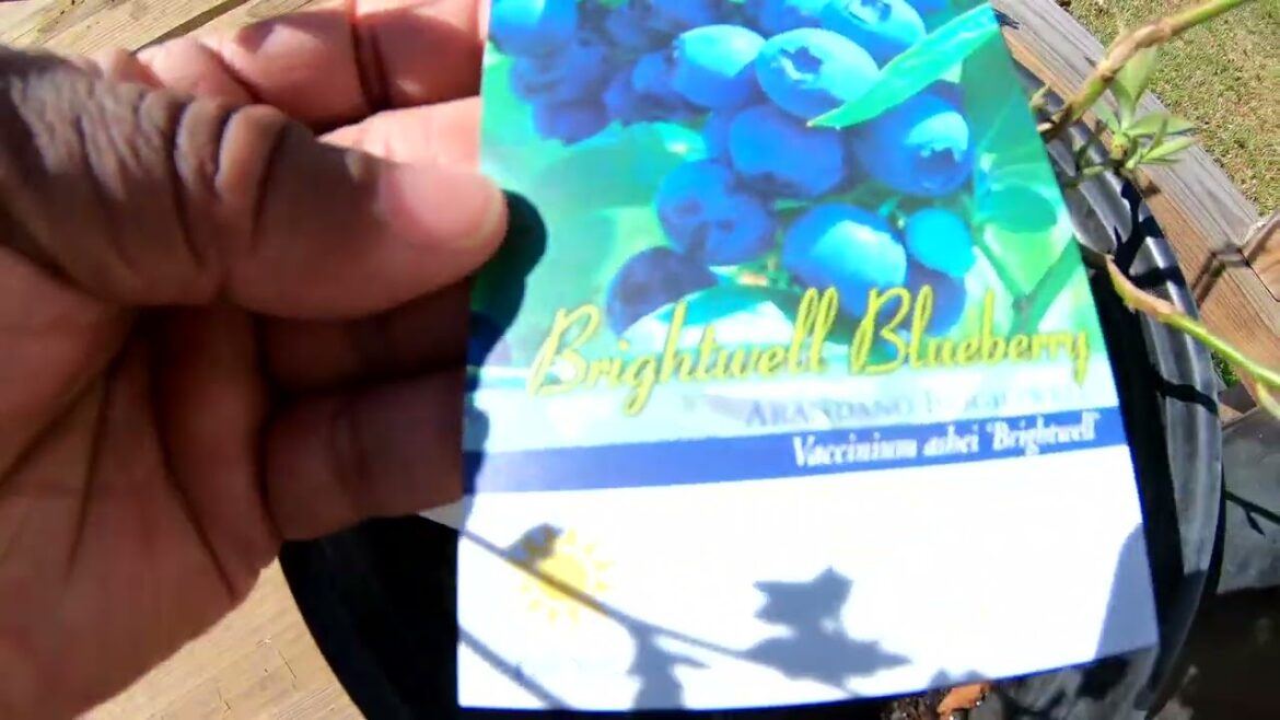 TRACTOR SUPPLY HAUL & UPDATE