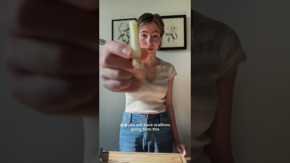 Never buy scallion again: regrowing grocery store scallions at home