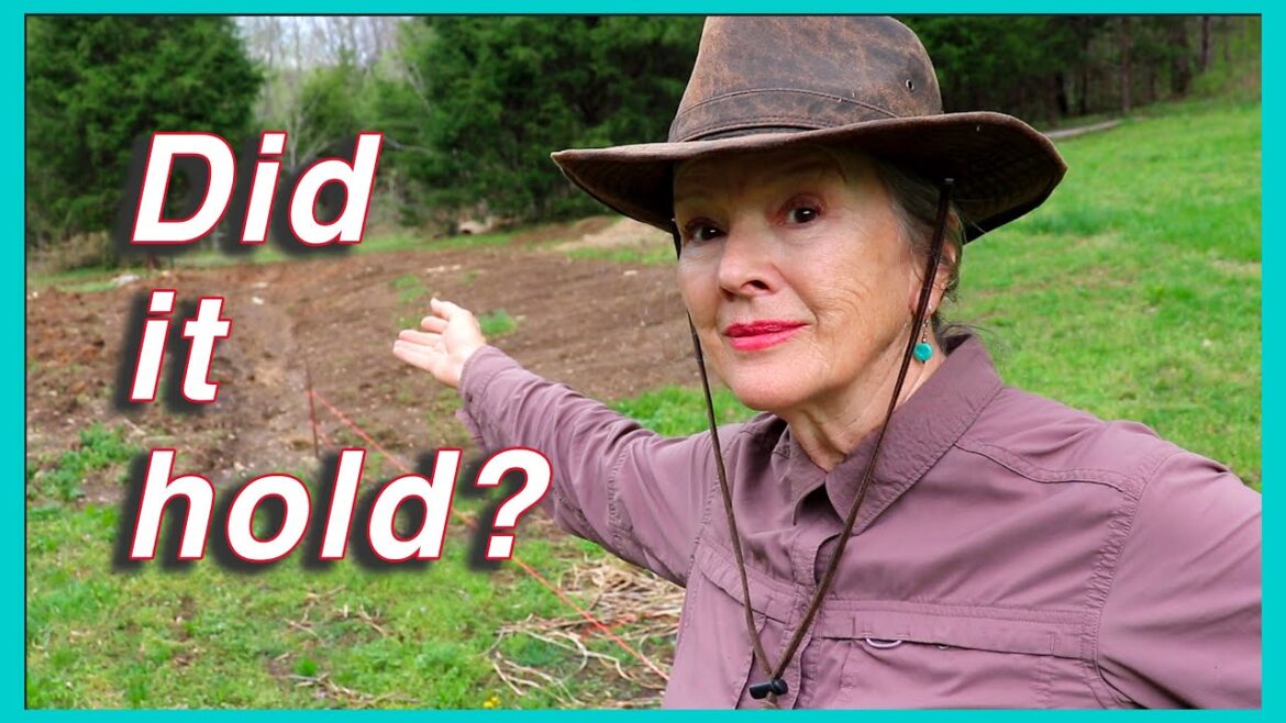 Kaye Kittrell: COMPLETE After Flood Garden Tour, wildflowers, runoff, plants coming to life! COMPLETE After Flood Garden Tour, wildflowers, runoff, plants coming to life!