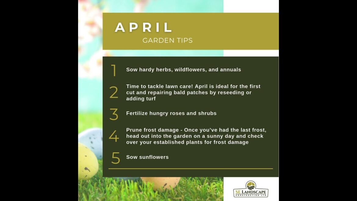 April Garden Tips 🌸✨ Expert Advice to Transform Your Outdoor Space! April Garden Tips 🌸✨ Expert Advice to Transform Your Outdoor Space!