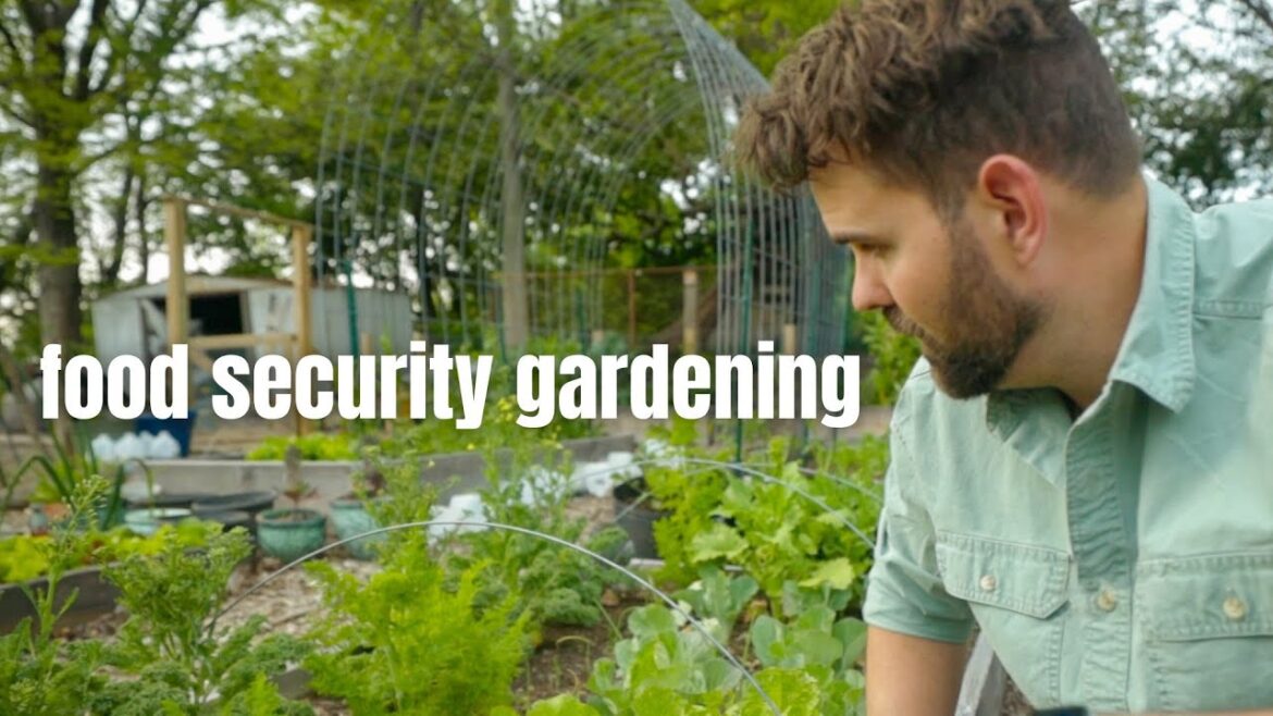 How much of your own food can you grow?