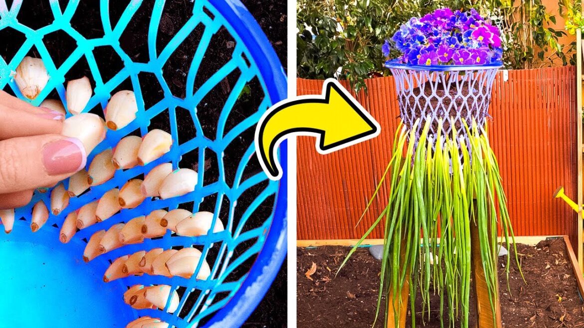 Creating a Minimalist Garden: Tips for Small Spaces 🍀