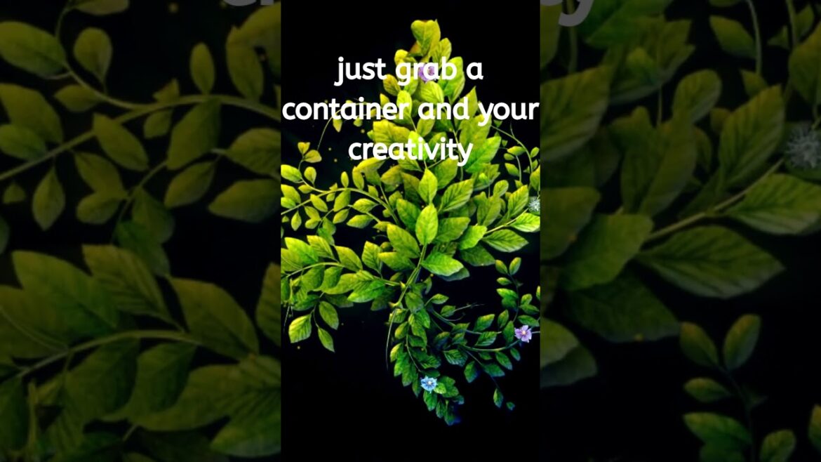 "Grow Something Amazing: Your Container Gardening Journey Starts Here!" #shorts #gardening