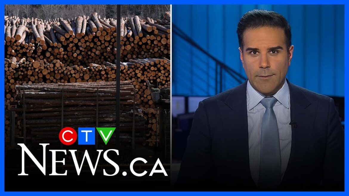 Trump to unveil tariff plans at ‘Liberation Day’ event | CTV National News at 11 for April 1, 2025 Trump to unveil tariff plans at ‘Liberation Day’ event | CTV National News at 11 for April 1, 2025