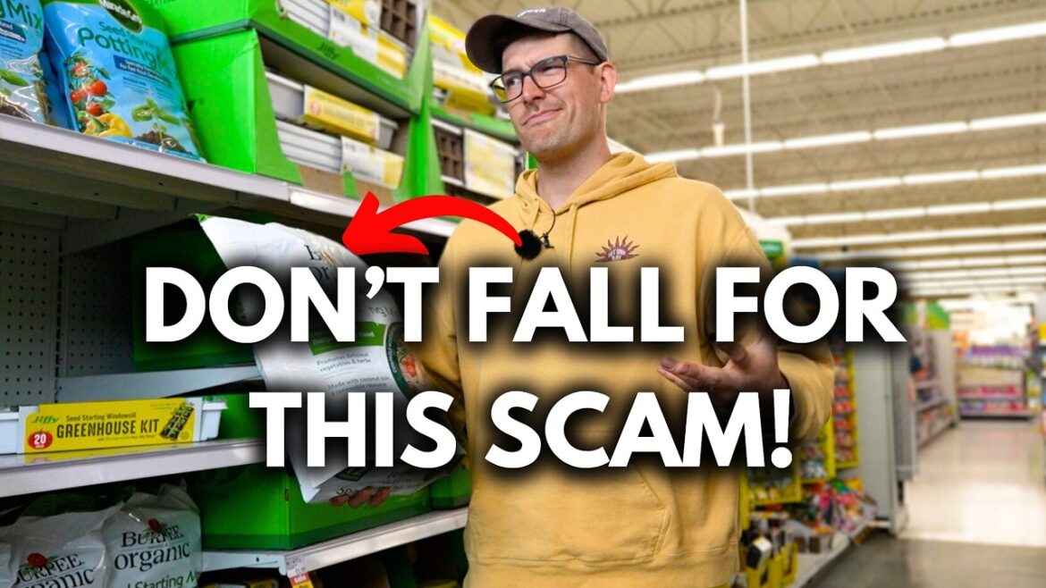 The SCAM Big Box Stores Don't Want You To Know