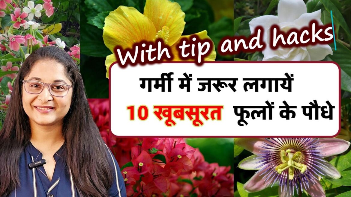 🔴TOP 10 BEAUTIFUL SUMMER FLOWER PLANTS/FLOWERING TIPS गर्मी के मौसम के खूबसूरत पौधे#flowers #plants 🔴TOP 10 BEAUTIFUL SUMMER FLOWER PLANTS/FLOWERING TIPS गर्मी के मौसम के खूबसूरत पौधे#flowers #plants