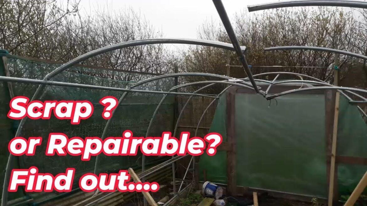 Alan's Allotment: The Rise and Fall of British Gardening