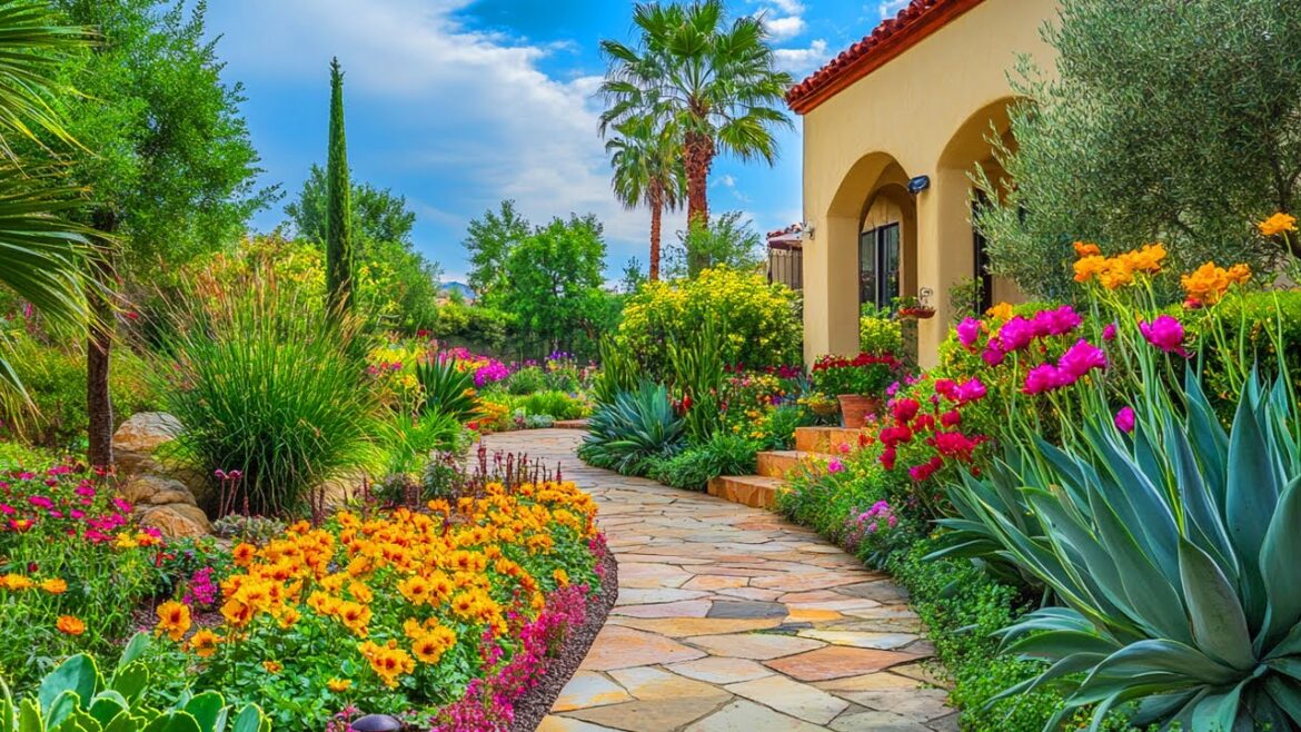 Budget-Friendly Secrets for Creating a Lush Garden