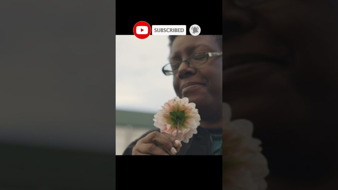 Tree Cutter Branch Trimmer 😍  Gardening Tool Hand Clipper #shorts #Gardening #tools