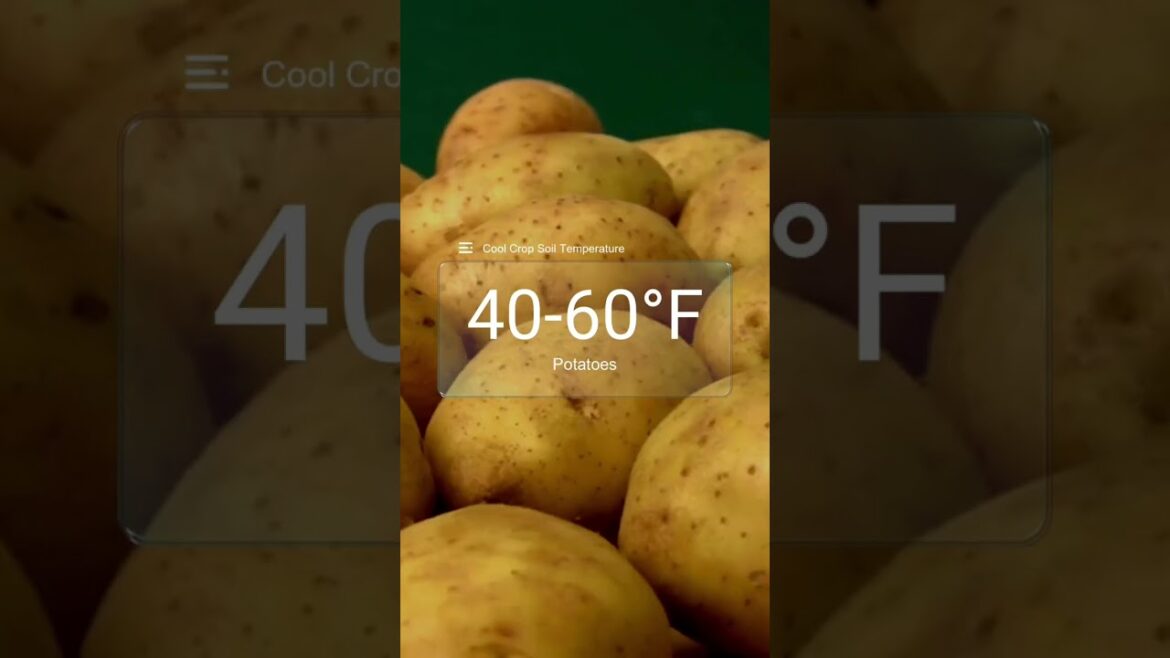 ⏳ When to Plant What 🌱