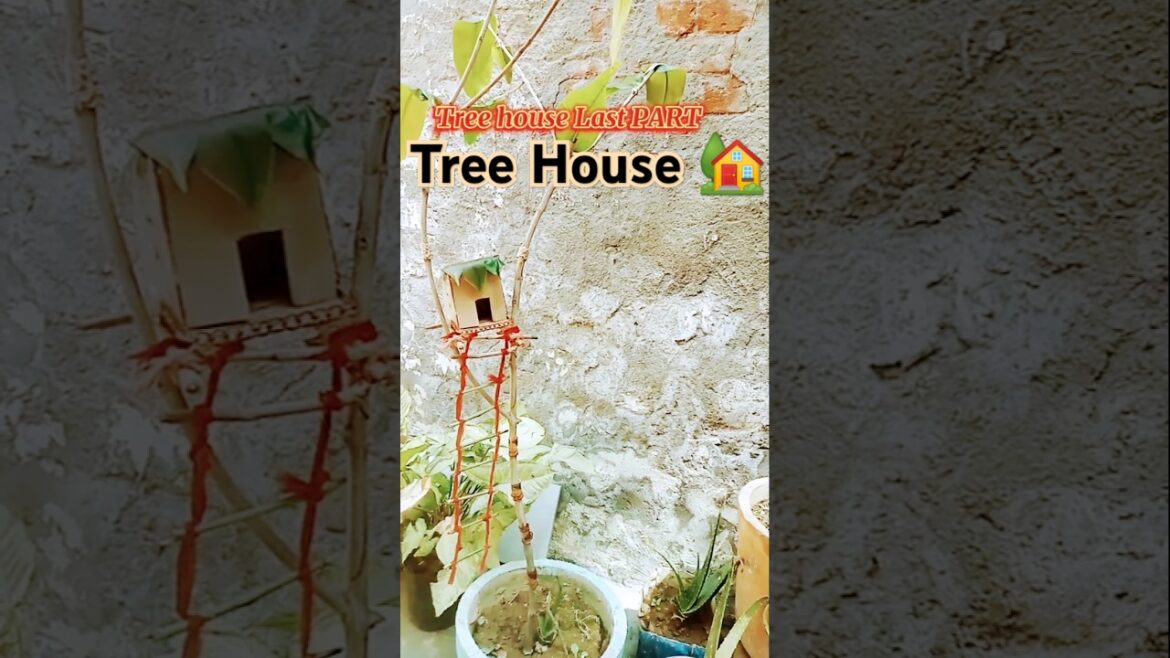 Tree house Last PART/@GAIN DAY BY DAY