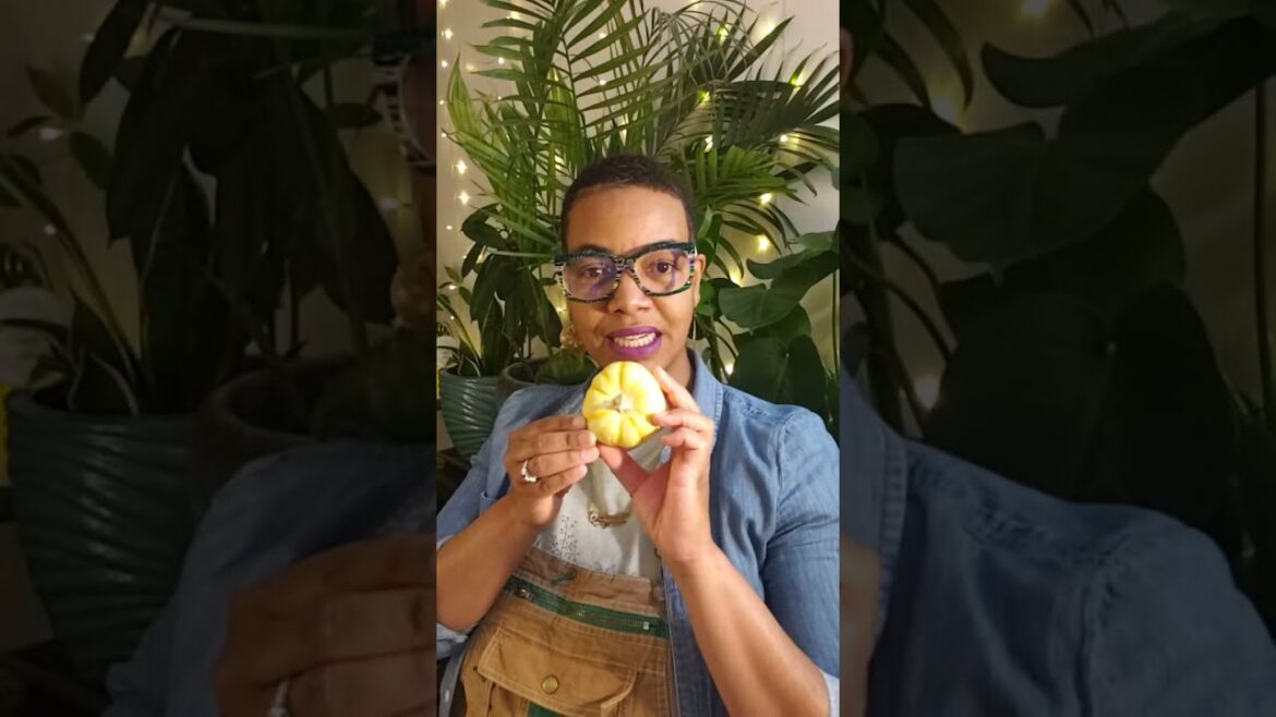 LIVE!  End  of week garden check in | Spring Garden: Seeds, Plans, Homework 🌱📝💚