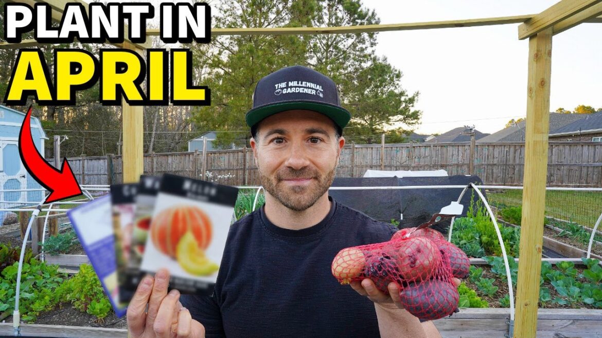 25 Veggies You Can Plant In April RIGHT NOW! 25 Veggies You Can Plant In April RIGHT NOW!