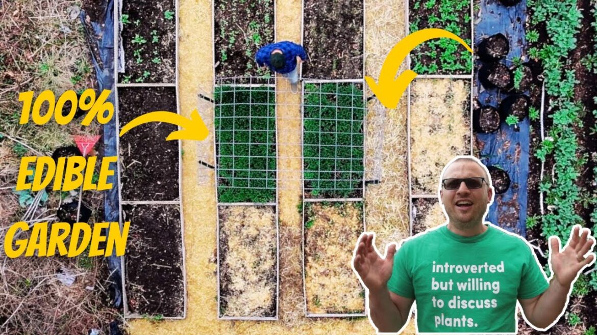 Even The Pathways Grow Food in This AMAZING BACKYARD GARDEN Even The Pathways Grow Food in This AMAZING BACKYARD GARDEN