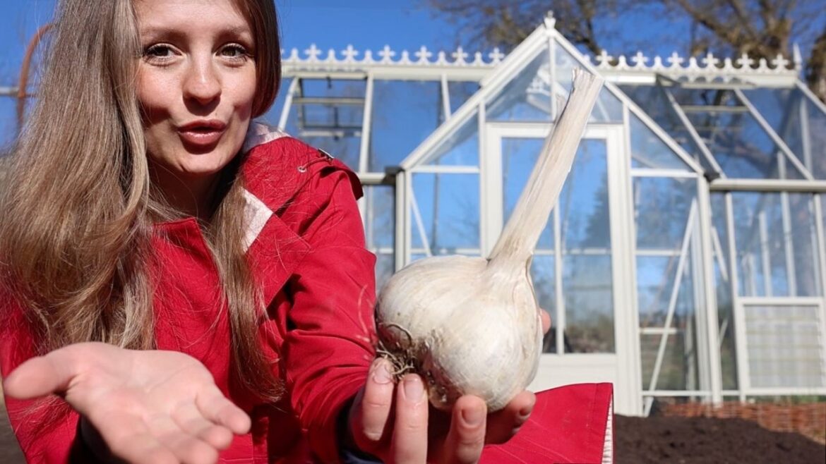 🍓Die 17 wichtigsten Garten-Aufgaben im April