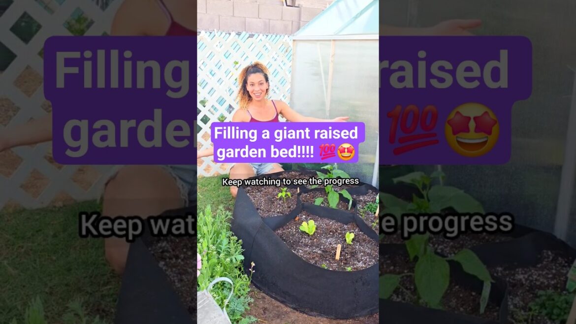 Giant raised garden bed! #growbag #raisedgardenbed #garden #gardening