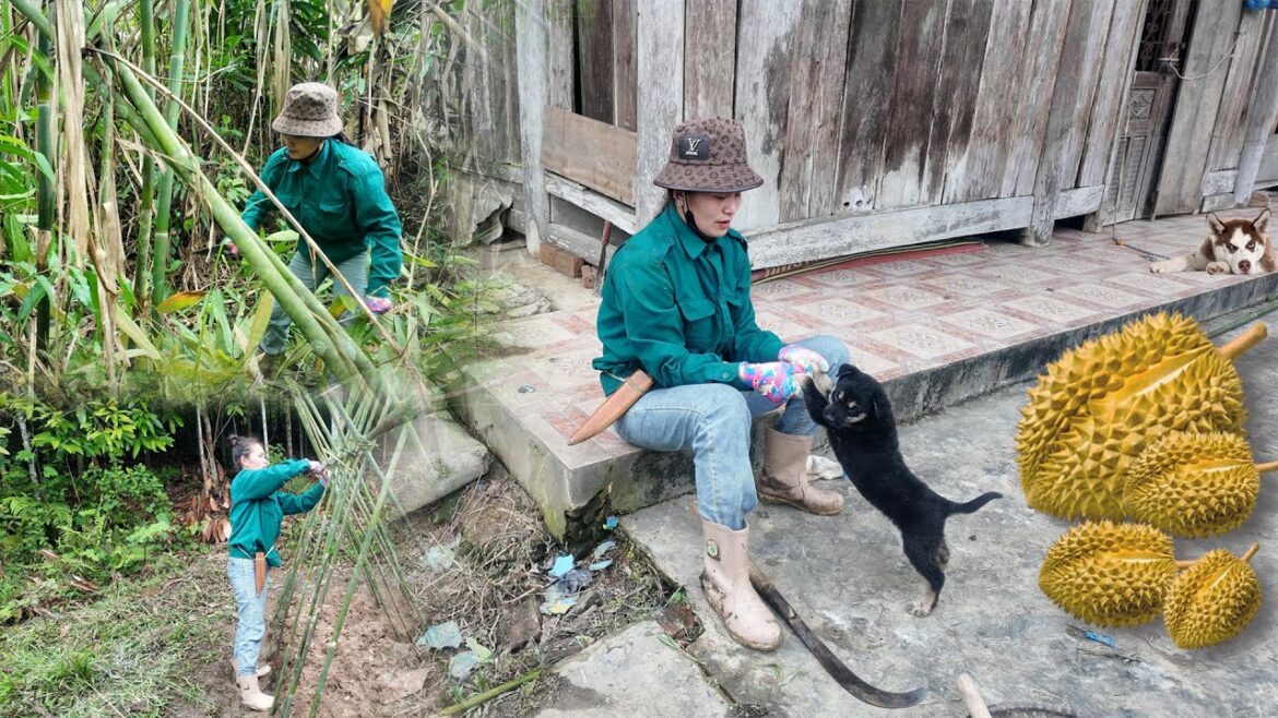 vegetable gardening, cooking & dog care – peaceful country life in harmony with nature #lythica