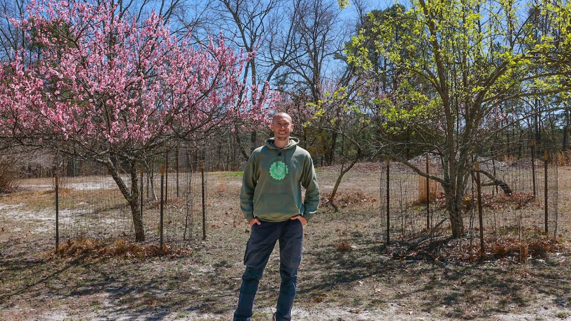 James Prigioni: I Bought a 10 Acre Homestead Farm! I Bought a 10 Acre Homestead Farm!