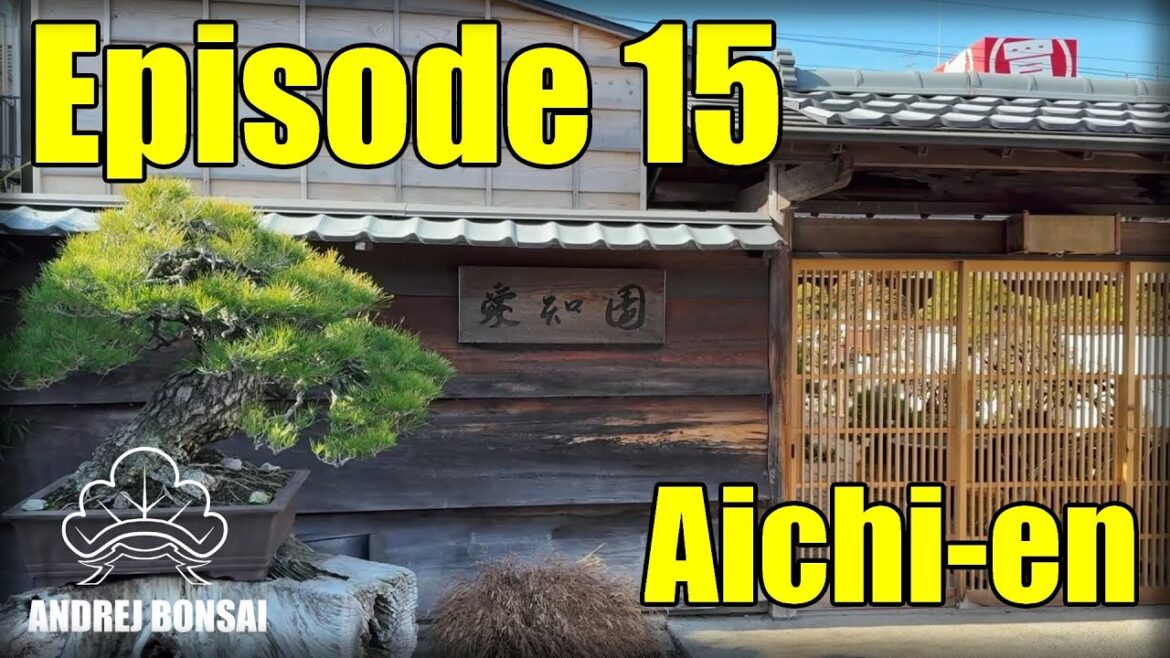 Aichi-en Japanese Bonsai Garden