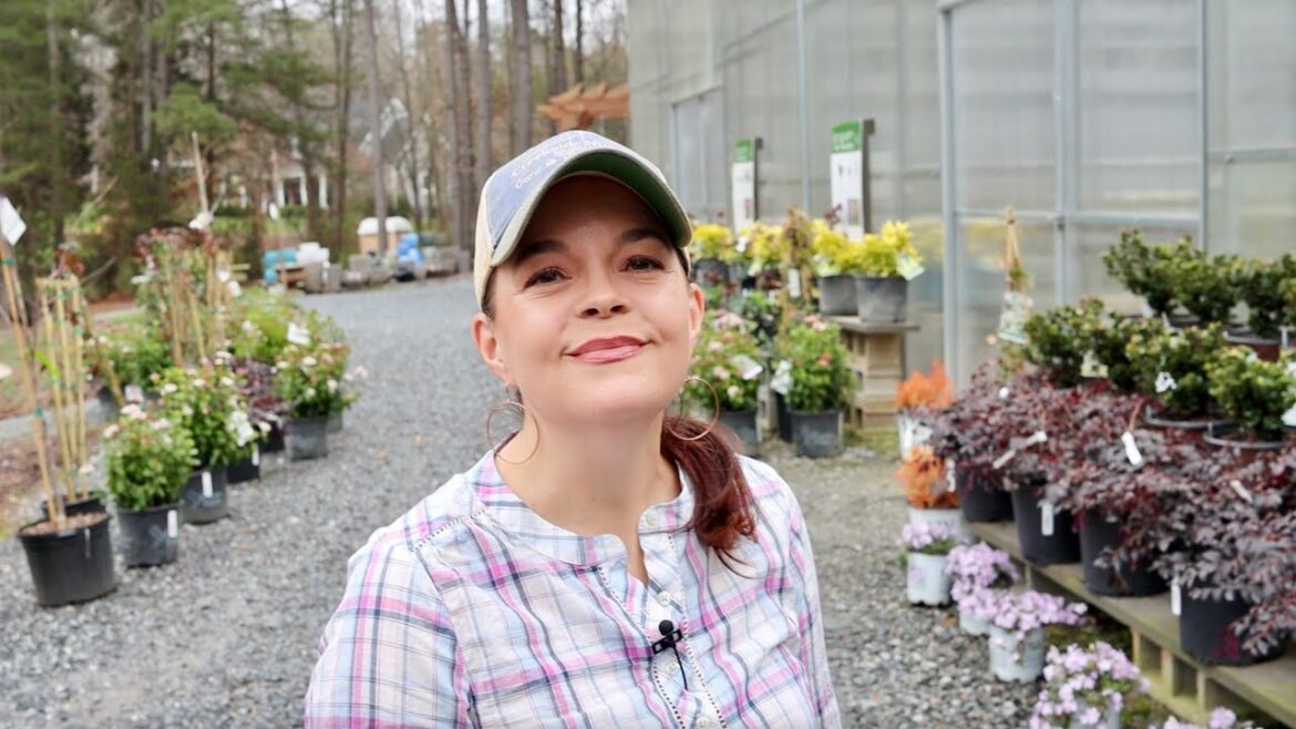 Flowers In February Nursery Tour