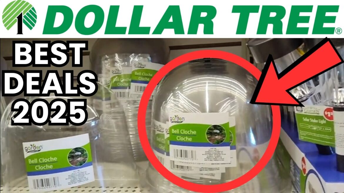 These Dollar Tree Gardening Supplies Will SELL OUT – Get Them NOW! These Dollar Tree Gardening Supplies Will SELL OUT – Get Them NOW!