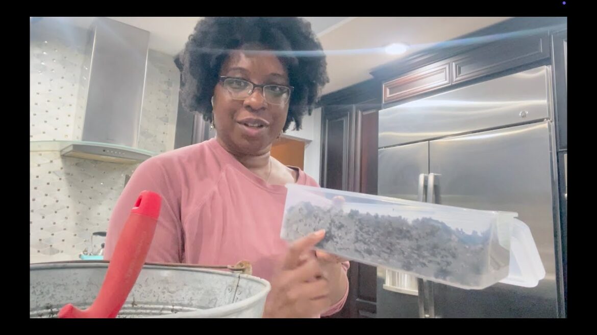 Experimenting with Winter Sowing!