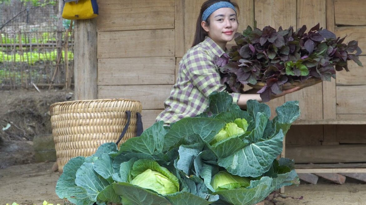 How to make fried banana cake with black sesame recipe. vegetable gardening