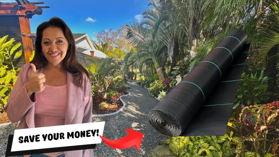 Debunking 5 GARDENING Myths You Thought Were True! Debunking 5 GARDENING Myths You Thought Were True!