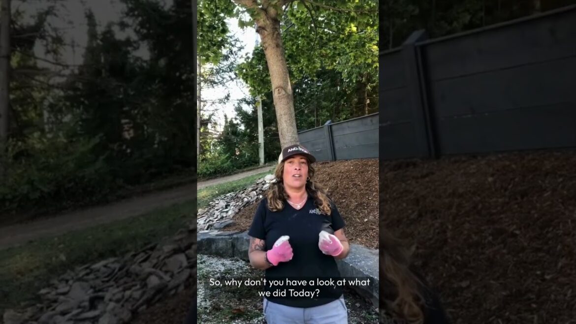 Low-Maintenance Landscaping Transformation with And-Rod Landscapes Low-Maintenance Landscaping Transformation with And-Rod Landscapes