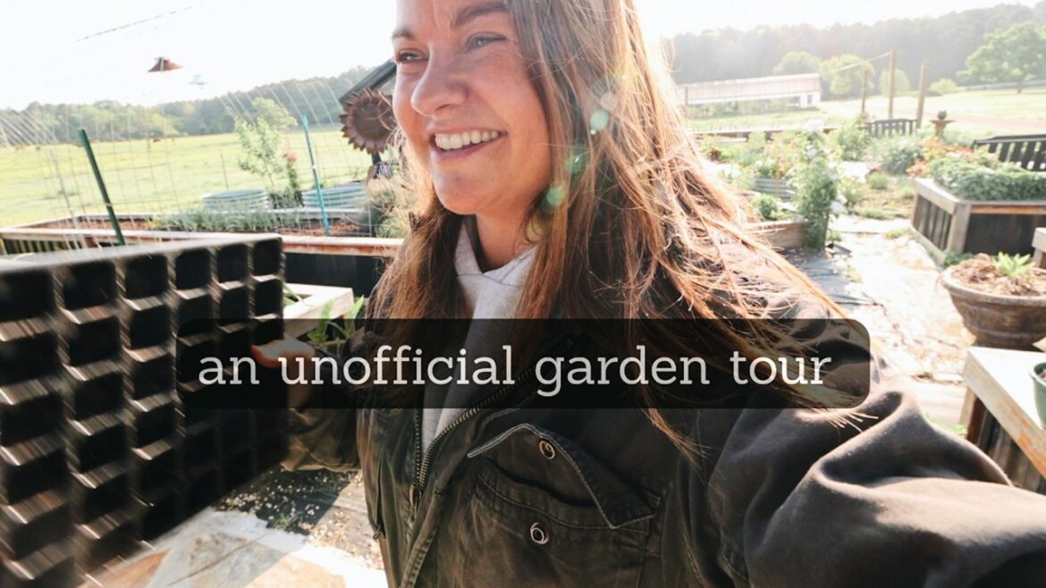 Roots and Refuge Farm: Oh hey, look at my garden! (Unofficial Garden Tour) Oh hey, look at my garden! (Unofficial Garden Tour)