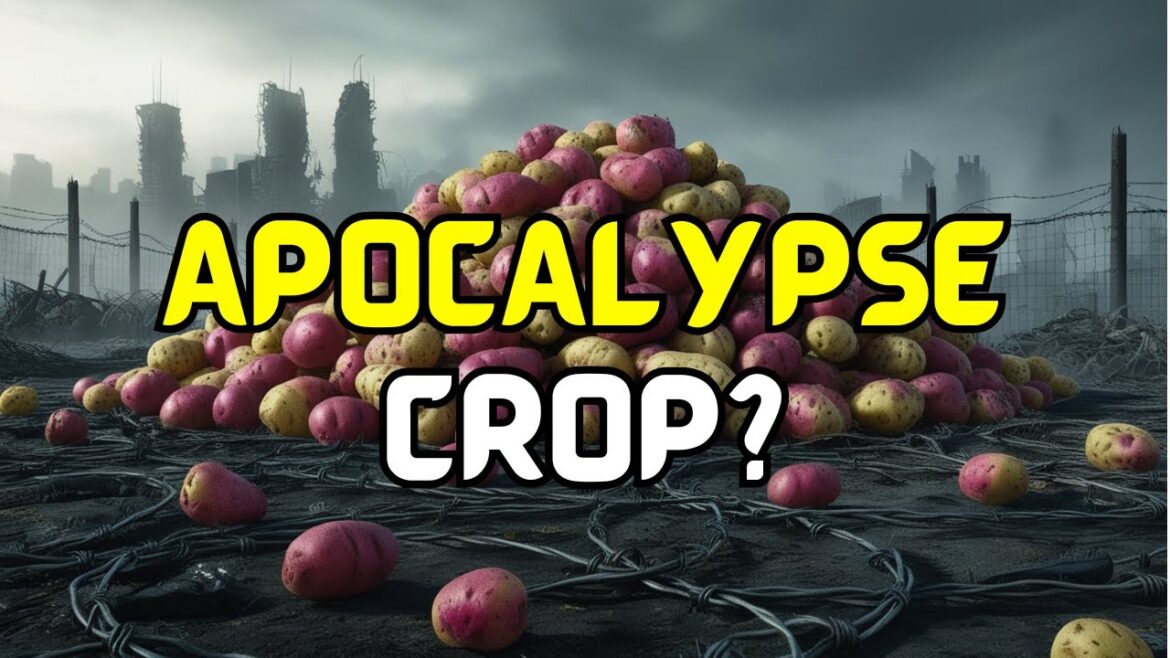 Survival Gardening: Grow Potatoes for Food Security! Survival Gardening: Grow Potatoes for Food Security!