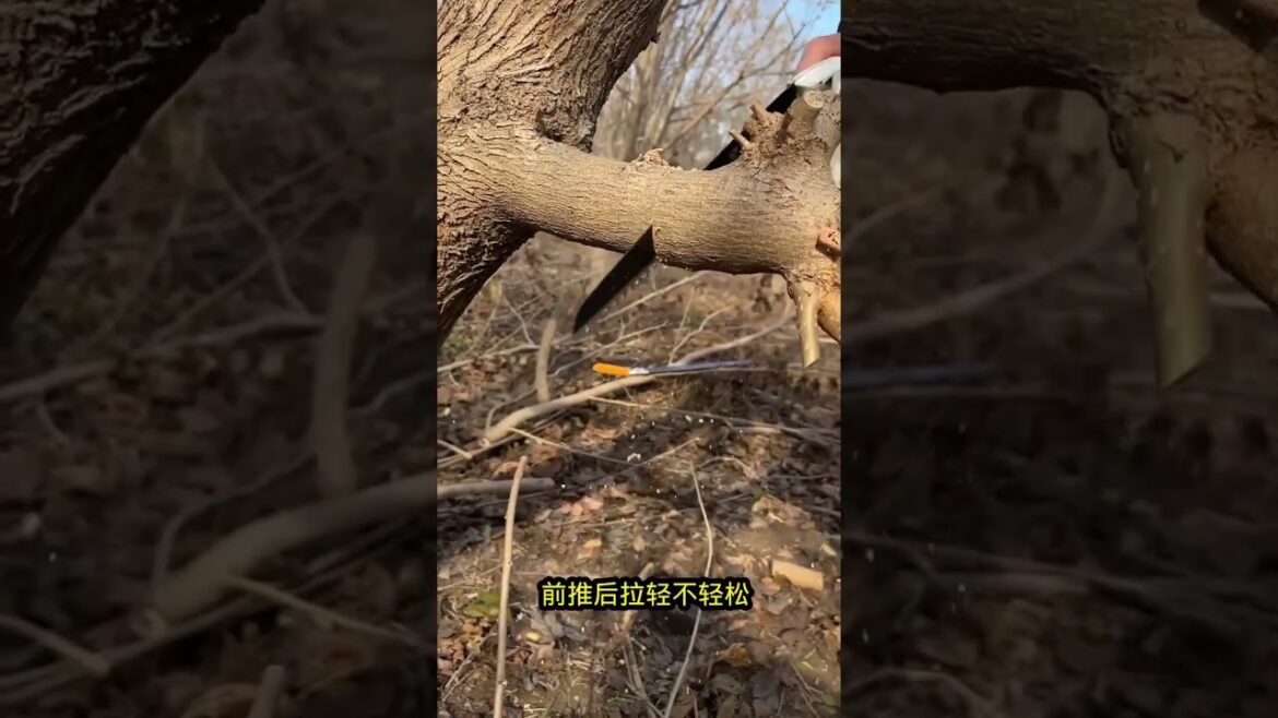 Japanese Great White Shark Hand Saw Garden Pruning Household Firewood Cutting