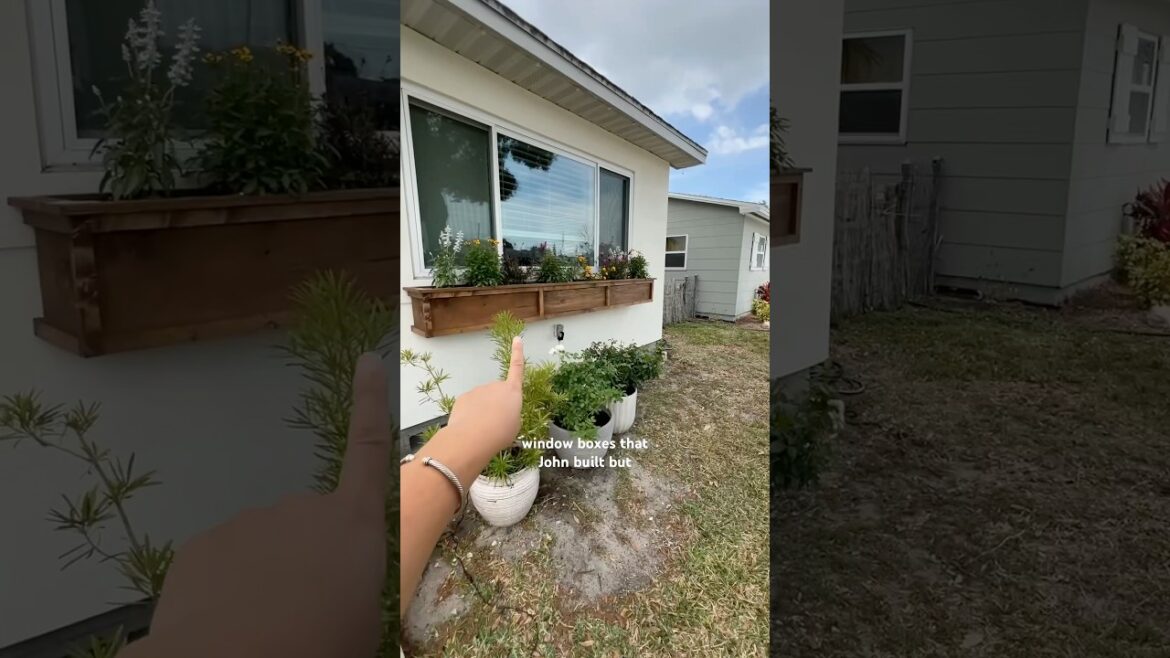 need ideas for our front yard / garden makeover !!