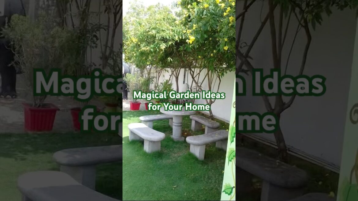 Garden ideas #homedecor #home #gardendesign #garden #homegarden #homegardenideas #viralshorts #viral