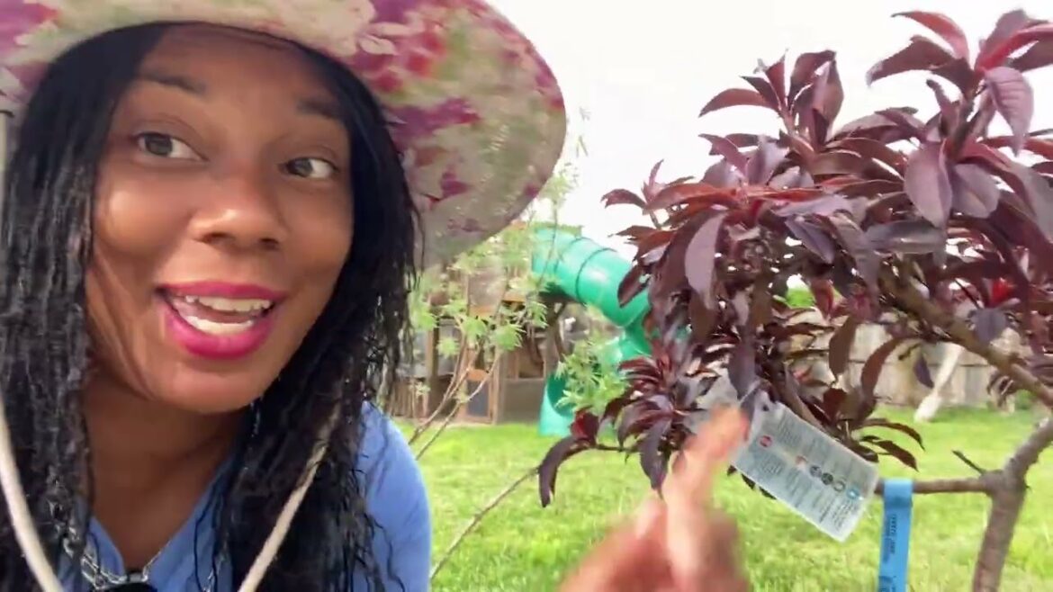 Fruit Trees in Raised Beds: Maximize Space, Maximize Yield container Gardening