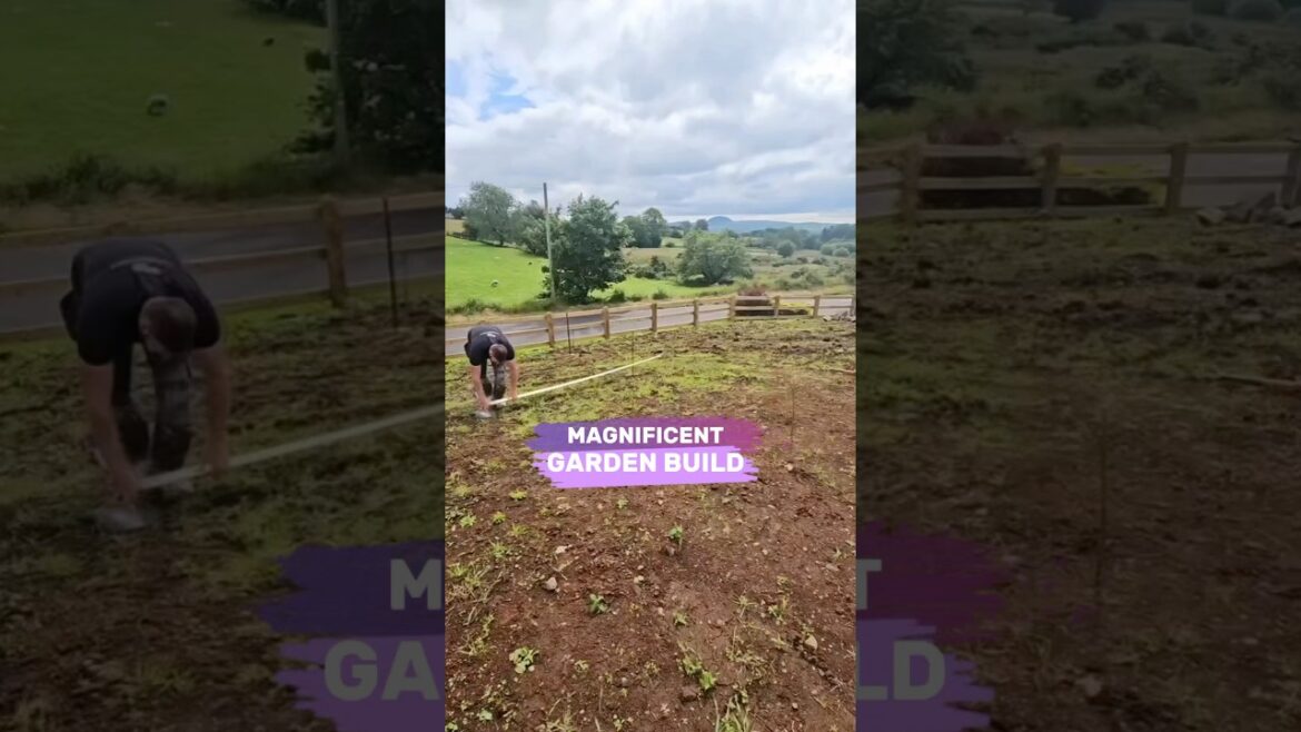 Genius Magnificent Garden Build! #shorts (@tdlandscapes)