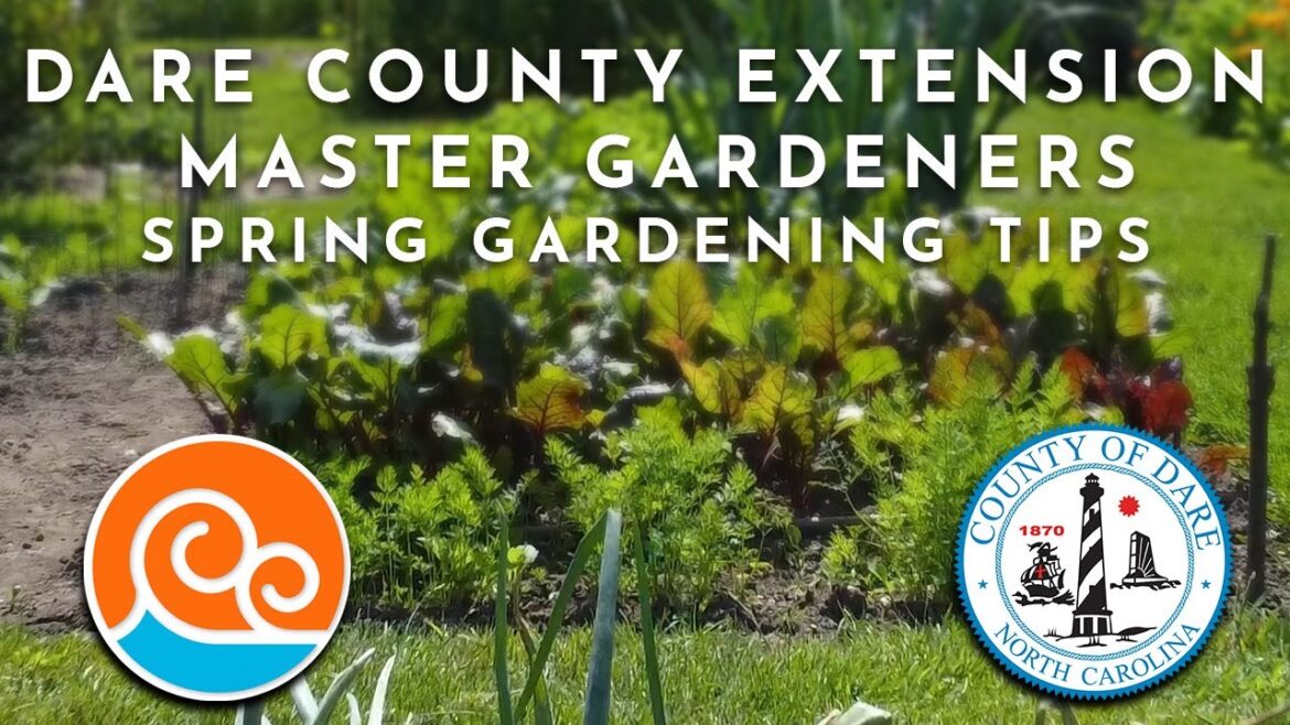 Spring Gardening Tips from Dare County Extension Master Gardeners. Spring Gardening Tips from Dare County Extension Master Gardeners.