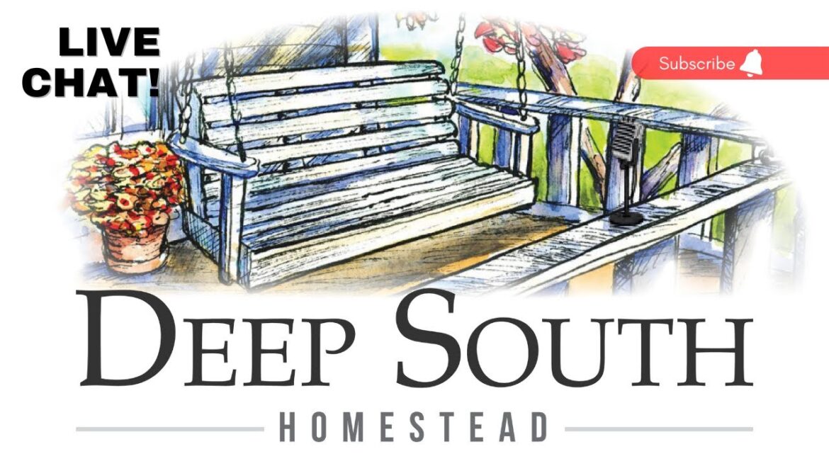 Summer Garden Plans -   Let's Chat!