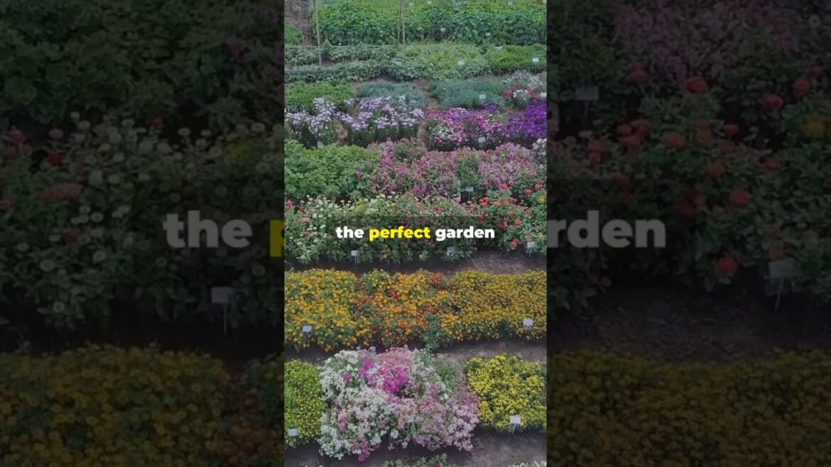 Spring Garden Design Unleash Your Inner Gardener! #garden #design #spring #gardening #gardeningtips