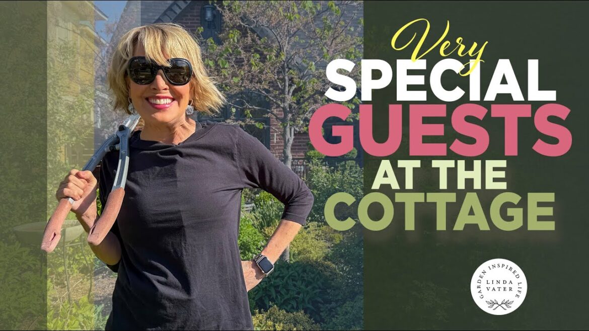 Some Very Special Visitors To the Cottage Garden 🌱🏡 Some Very Special Visitors To the Cottage Garden 🌱🏡