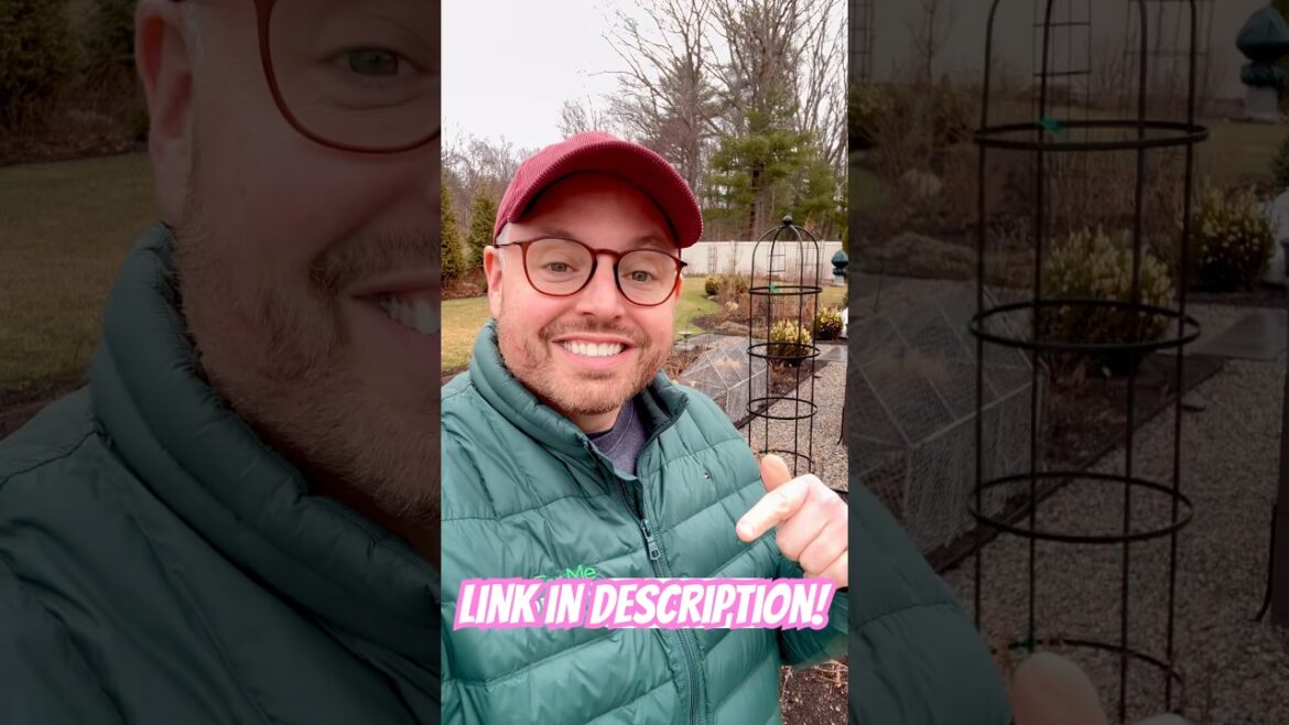 Win $500 in Proven Winners Plants! Spring Giveaway You Don’t Want to Miss! Win $500 in Proven Winners Plants! Spring Giveaway You Don’t Want to Miss!