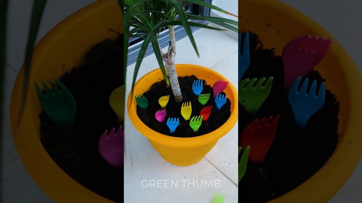 Thrilling Indoor Garden Hacks to Revitalize Your Home! Thrilling Indoor Garden Hacks to Revitalize Your Home!