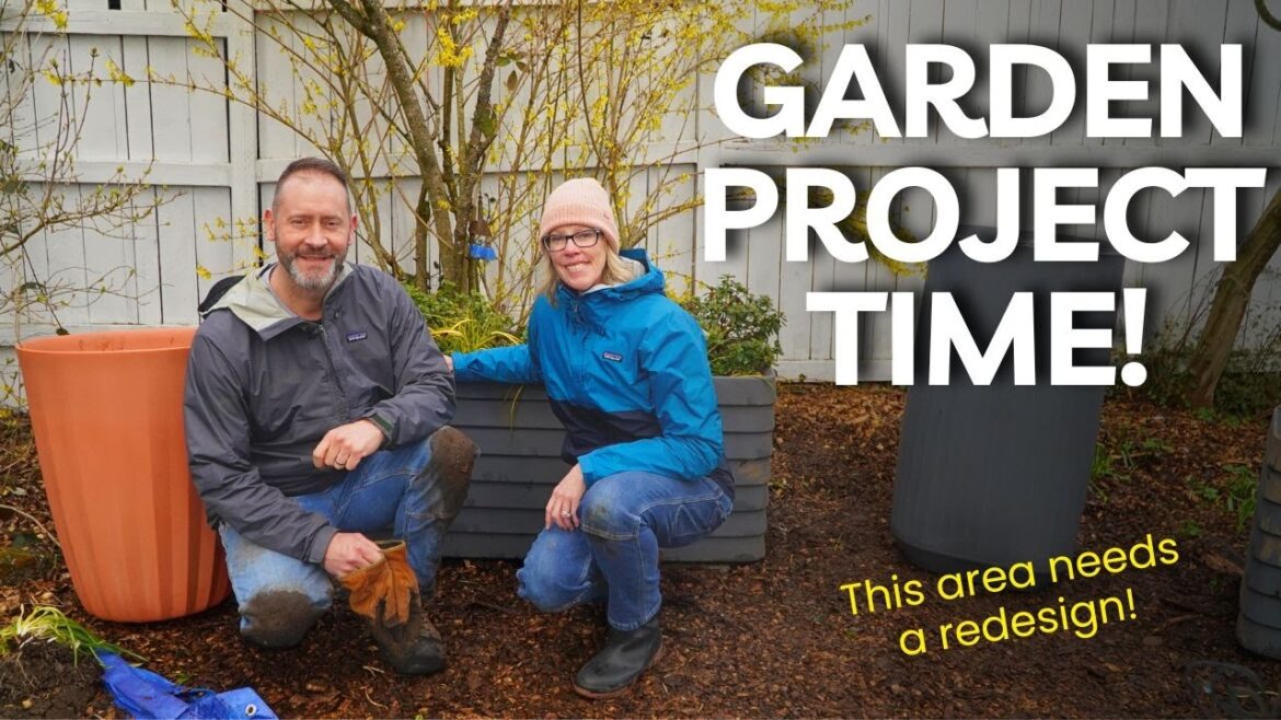 We FINALLY did it! New Large Container Design #garden