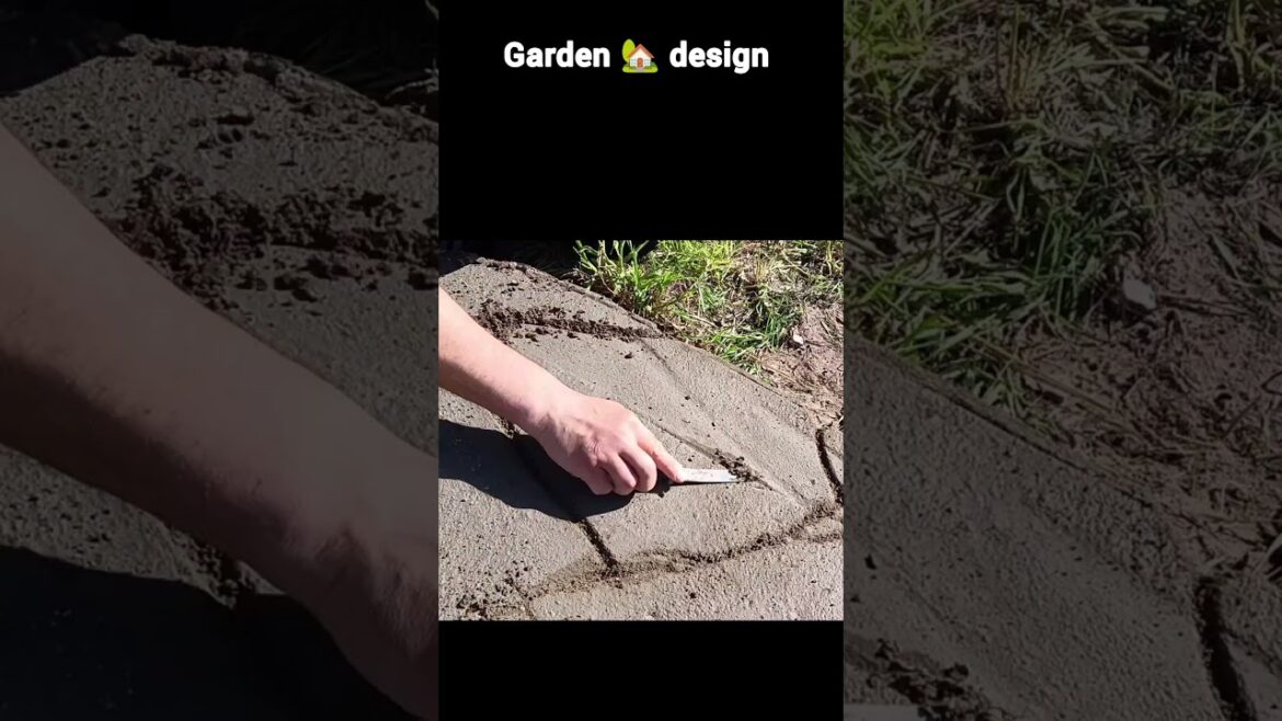 Garden design. It's my hobby.