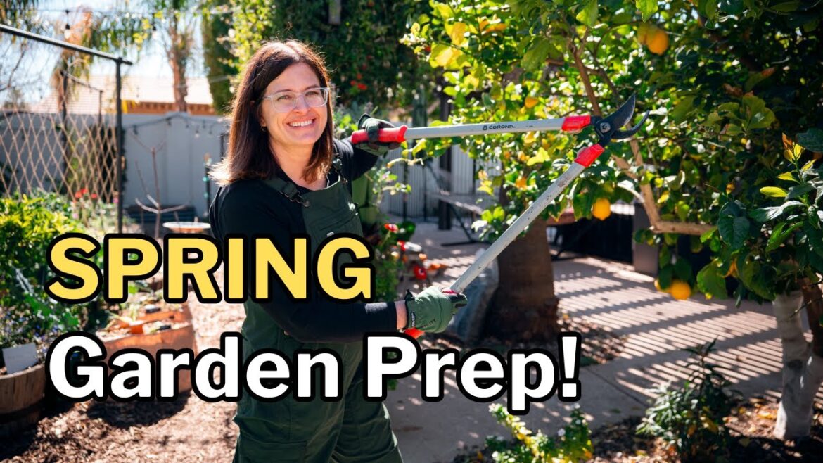 MARCH GARDENING TIPS: What to Do Now for a Thriving Spring Garden MARCH GARDENING TIPS: What to Do Now for a Thriving Spring Garden